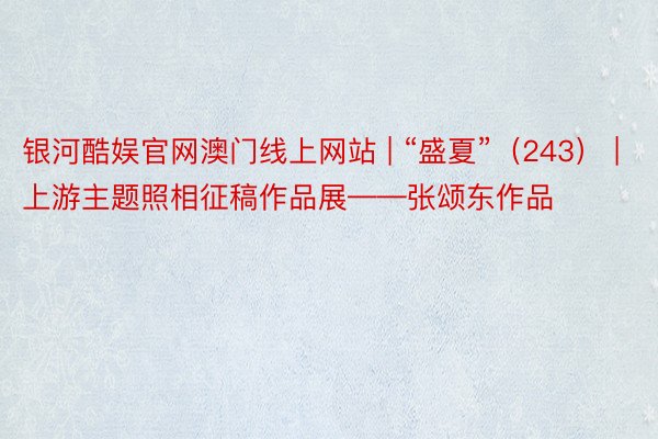 银河酷娱官网澳门线上网站 | “盛夏”（243） | 上游主题照相征稿作品展——张颂东作品