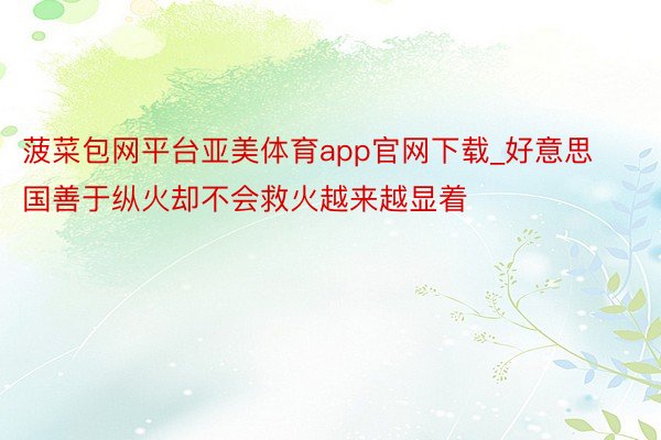 菠菜包网平台亚美体育app官网下载_好意思国善于纵火却不会救火越来越显着