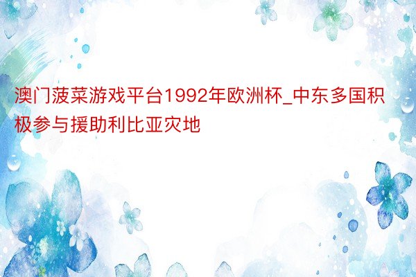 澳门菠菜游戏平台1992年欧洲杯_中东多国积极参与援助利比亚灾地